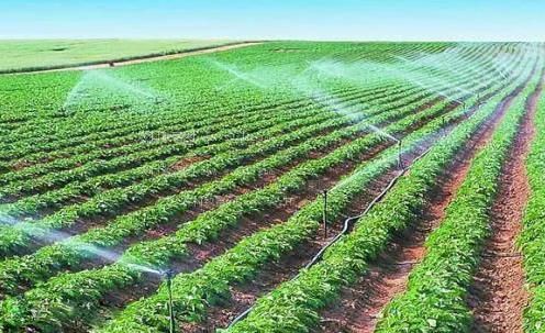 曰逼看看农田高 效节水灌溉